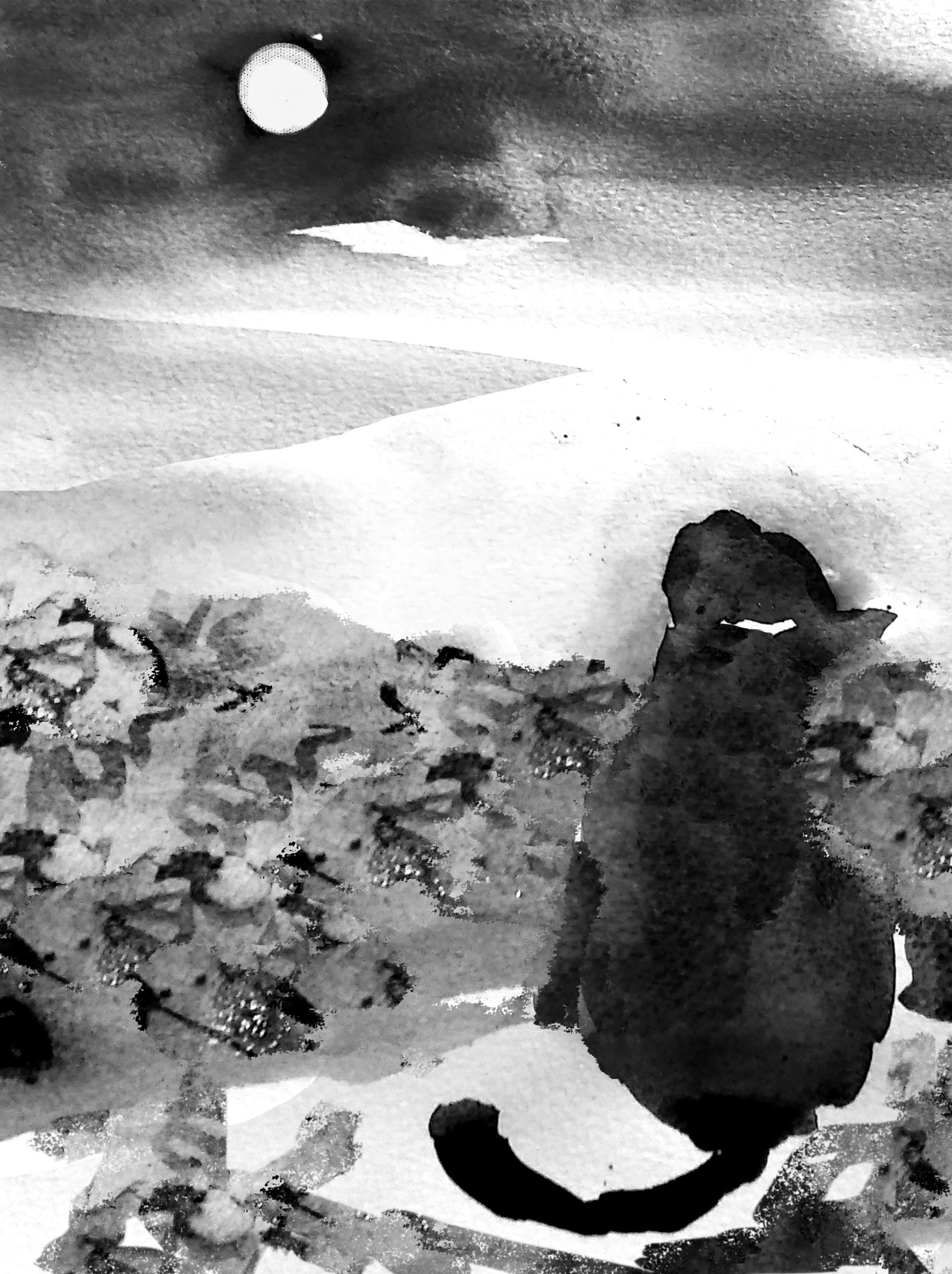 Con mèo tắm trăng